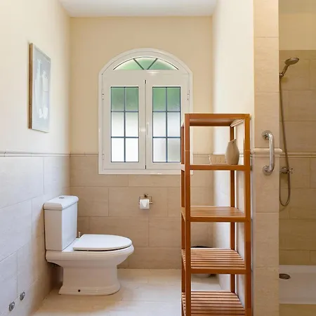 Jacaranda * Сан Мигель